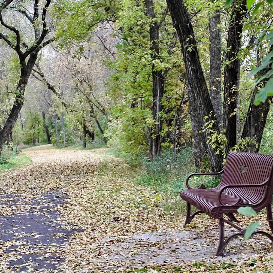 A Walk in The Park